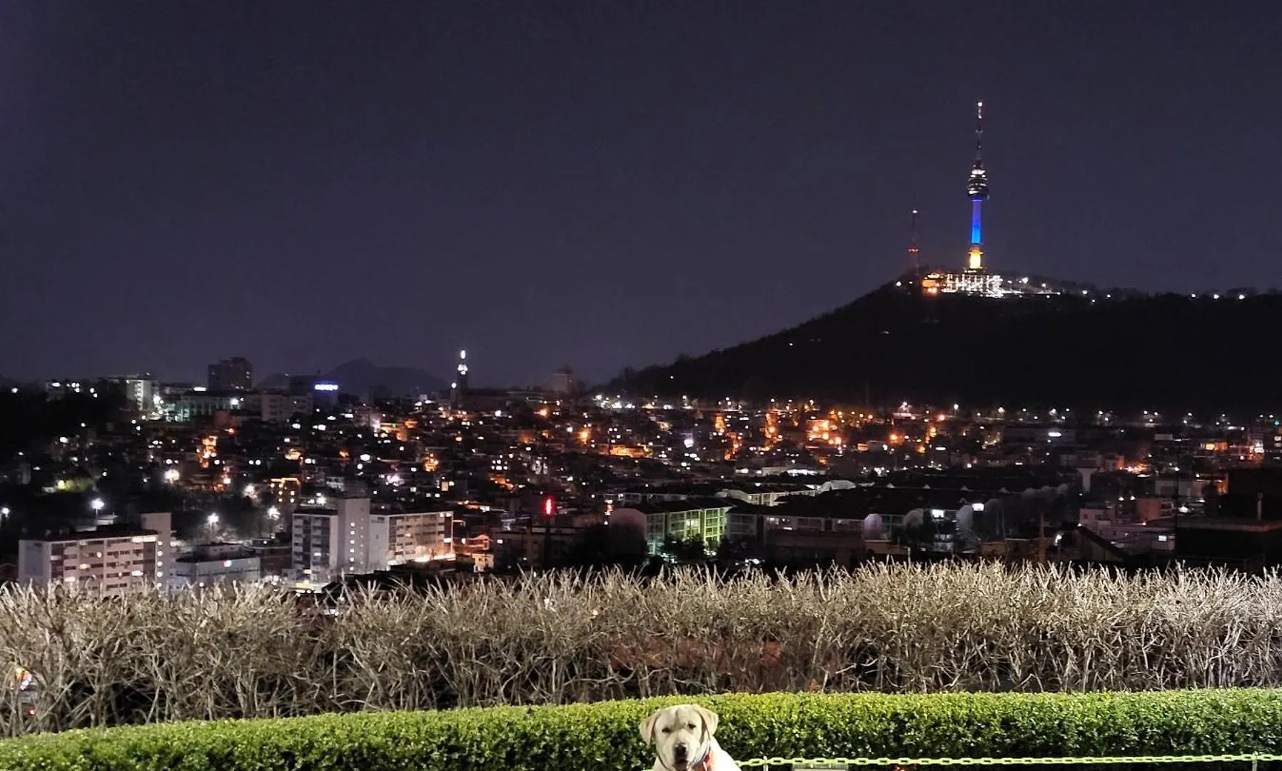 Brand New 2 Bedroom Apartment #6 Seoul 0*,  South Korea